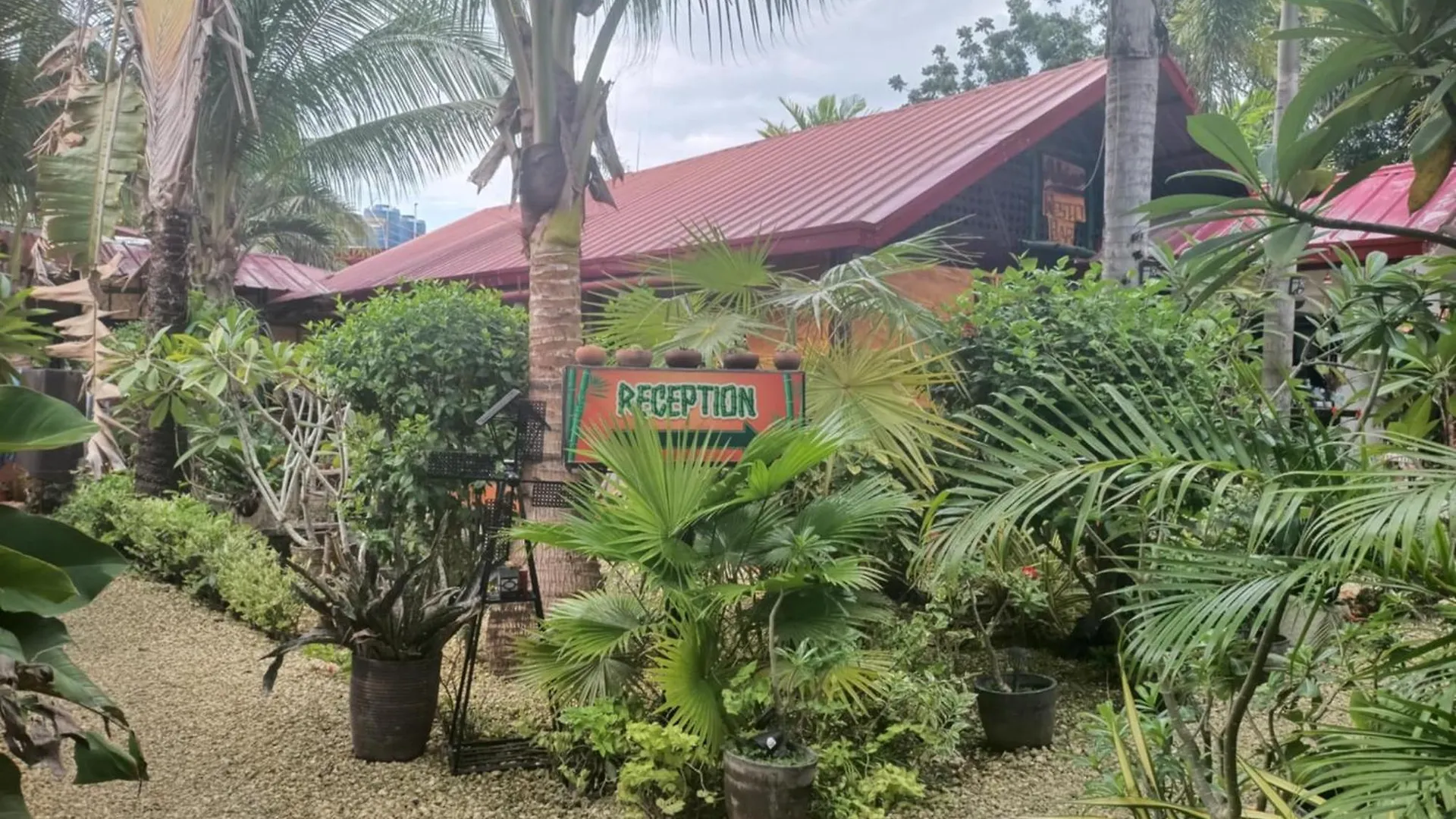 Adrianas Place Panglao Guest house