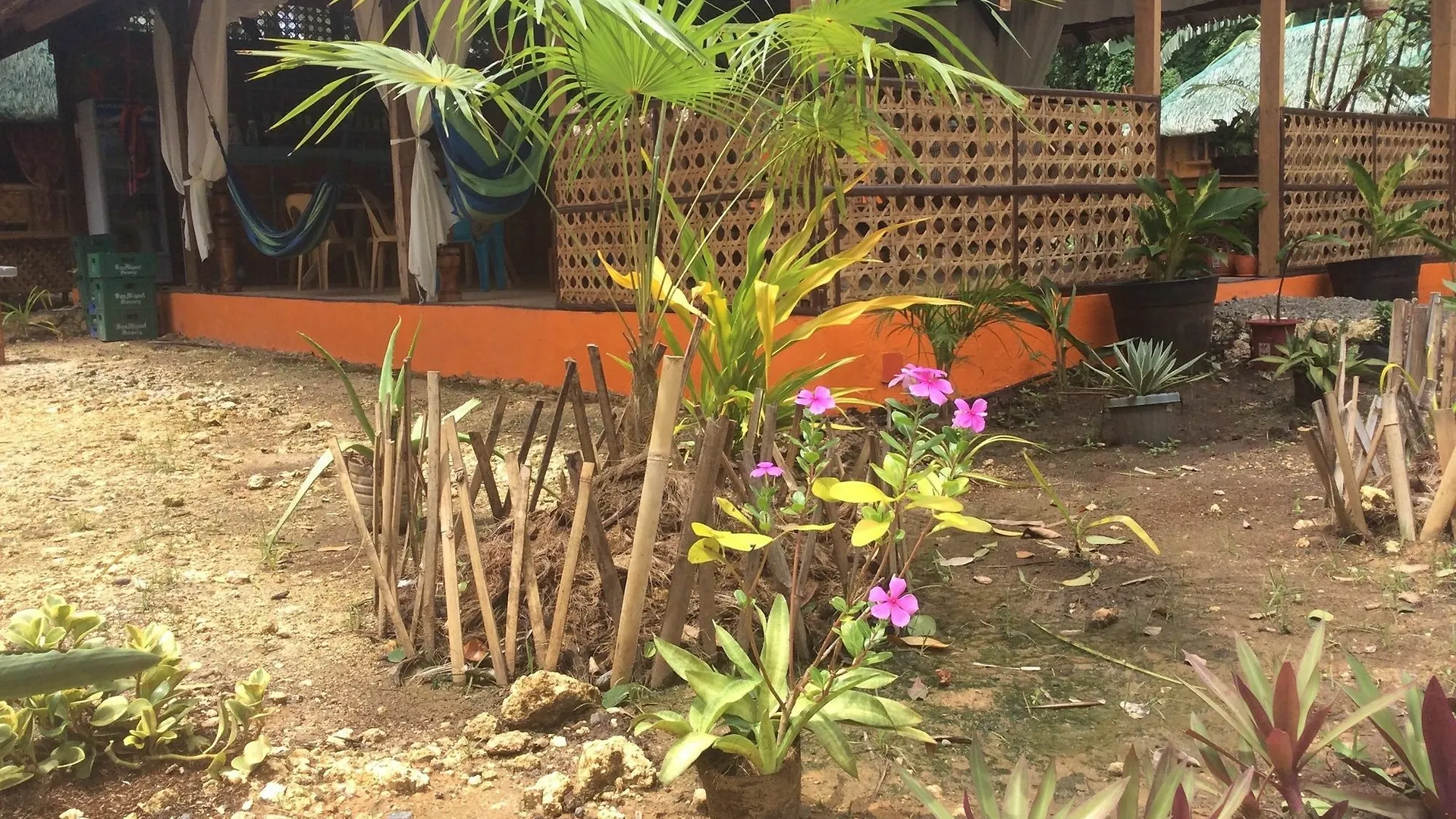 **  Adrianas Place Boutique Guest House Panglao Filippine